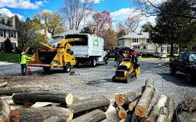 Wallace, ID Tree Care Company